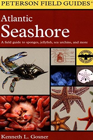 Download A Field Guide to the Atlantic Seashore: From the Bay of Fundy to Cape Hatteras - Kenneth L. Gosner | PDF