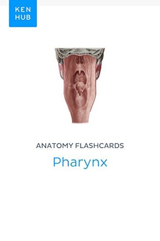 Download Anatomy flashcards: Pharynx: Learn all muscles, organs, arteries, veins and nerves on the go (Kenhub Flashcards Book 36) - Kenhub | PDF