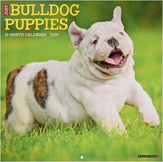 Read Just Bulldog Puppies 2019 Wall Calendar (Dog Breed Calendar) -  file in ePub